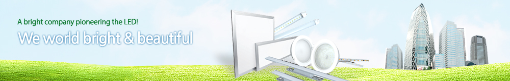 Bright company pioneering the LED!